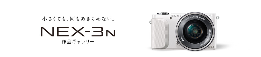 �������Ă��A����������߂Ȃ��BNEX-3N ��i�M�������[