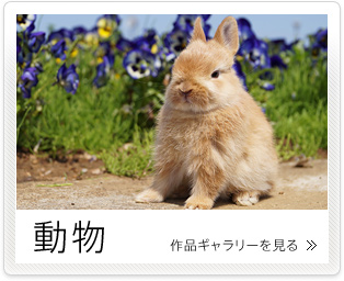 �����@��i�M�������[������