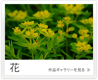 �ԁ@��i�M�������[������