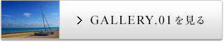 GALLERY.01������