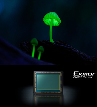 α7S 「Exmor（エクスモア）」CMOSセンサー