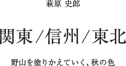 �֓�/�M�B/���k�@�����j�Y