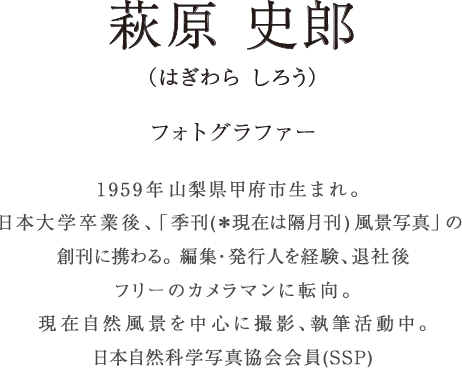 �����j�Y