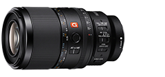 FE 100mm F2.8 Macro GM OSS (SEL100M28GM)