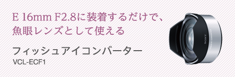 レンズ交換で世界が変わる ソニーのEマウントレンズ | デジタル一眼