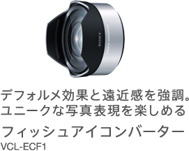 SONY Eマウン E16F2.8 魚眼レンズ付き