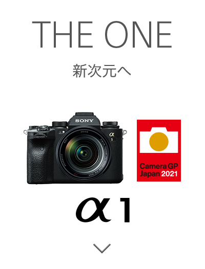 THE ONE 新次元へ α1