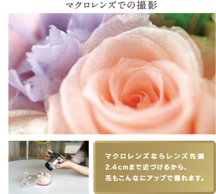 �}�N�������Y�ł̎B�e