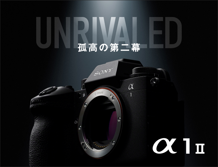 美品【多様なレンズオプション付】Sony αシリーズミラーレス一眼デジタルカメラ デジタル一眼カメラα（アルファ） | ソニー