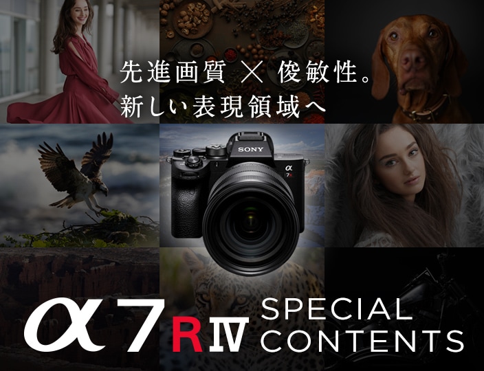 ��i�掿 �~ �r�q���B�V�����\���̈�� ��7R IV SPECIAL CONTENTS