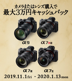 ���t���T�C�Y�~���[���X�E�C���^�[�L�����y�[��