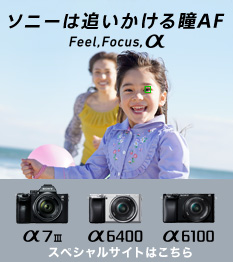 �\�j�[�́u�ǂ������铵AF�v Feel, Focus, �� �m35mm�t���T�C�Y ��7 III / APS-C ��6400 / APS-C ��6100�n