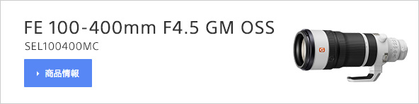 FE 100-400mm F4.5 GM OSS�iSEL100400MC�j���i���