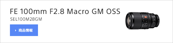 FE 100mm F2.8 Macro GM OSSiSEL100M28GMji