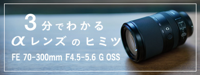 SONY ソニー ズームレンズ FE70-300mm F4-5.6G OSS