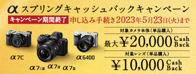 FE 24-105mm F4 G OSS | デジタル一眼カメラα（アルファ） | ソニー