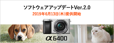 �\�t�g�E�F�A�A�b�v�f�[�gVer.2.0 2019�N6��13���i�؁j�񋟊J�n