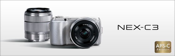 売れ SONY ミラーレス一眼レフ NEX-C3D(P) NEX−C3 デジタルカメラ