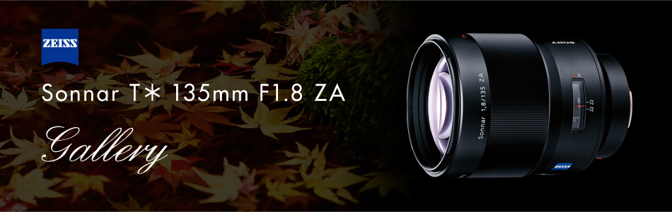 Sonnar T＊ 135mm F1.8 ZA 特長 | デジタル一眼カメラα（アルファ