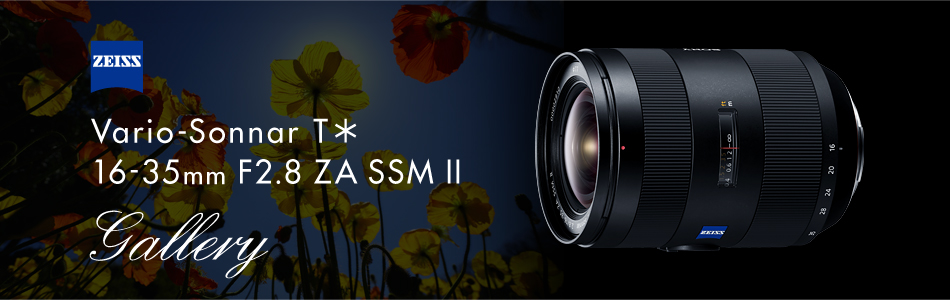 SAL1635Z2 特長 | デジタル一眼カメラα（アルファ） | ソニー