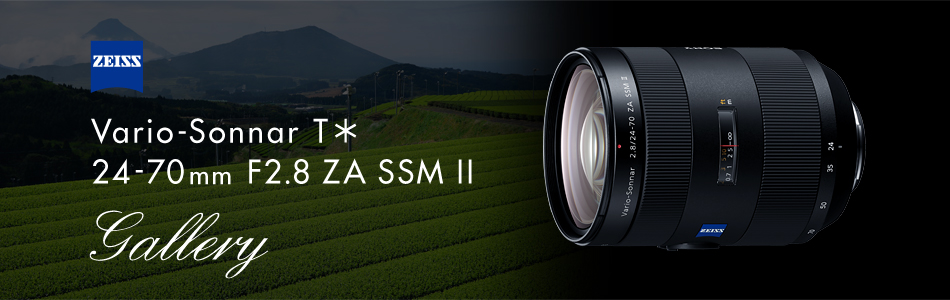 Vario-Sonnar T 24-70mm F2.8 ZA SSM II