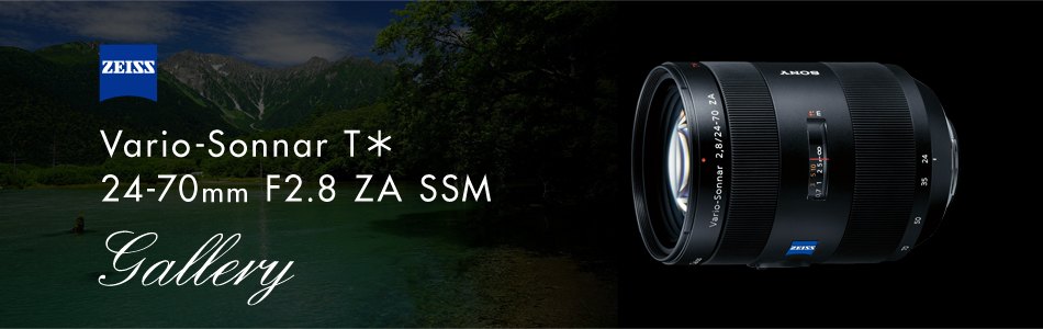 Vario-Sonnar T＊ 24-70mm F2.8 ZA SSM 特長 | デジタル一眼カメラα 