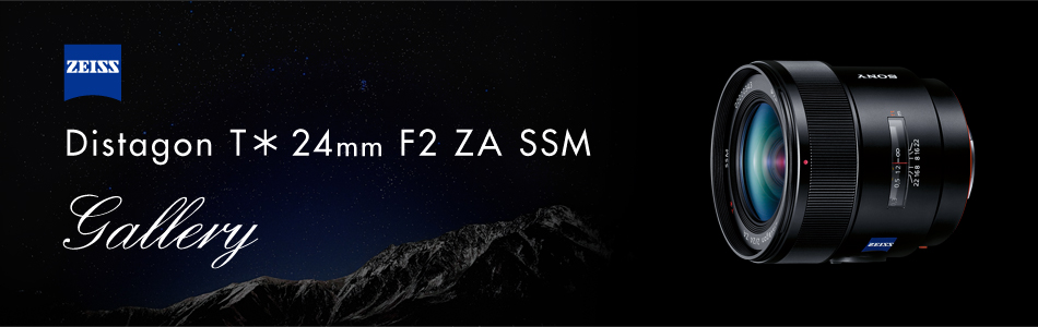 Distagon T* 24mm F2 ZA SSM 特長 | デジタル一眼カメラα（アルファ） | ソニー