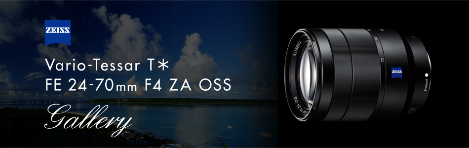 Vario-Tessar T* FE 24-70mm F4 ZA OSS 特長 | デジタル一眼カメラα