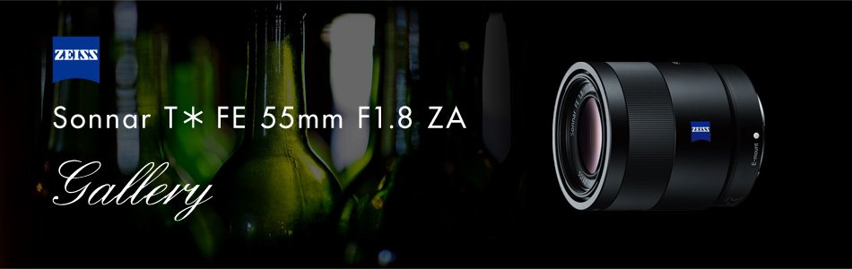 Sonnar T* FE 55mm F1.8 ZA 特長 | デジタル一眼カメラα（アルファ 