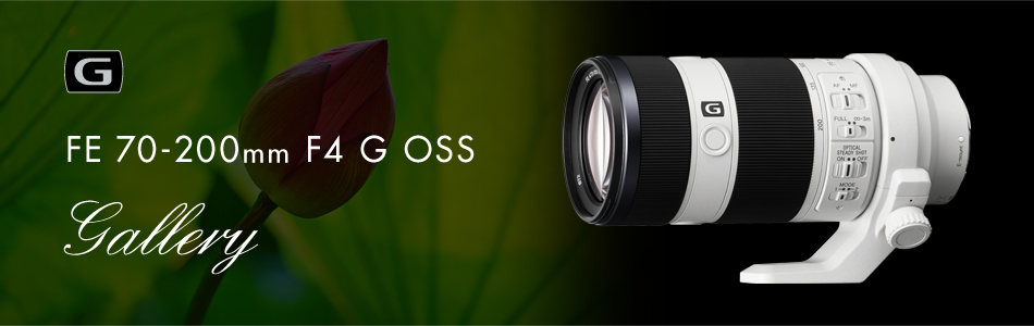 FE 70-200mm F4 G OSS 特長 | デジタル一眼カメラα（アルファ） | ソニー