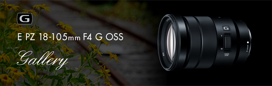 E PZ 18-105mm F4 G OSS 特長 | デジタル一眼カメラα（アルファ） | ソニー