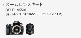 ズームレンズキット DSLR-A550L 【キットレンズ:DT 18-55mm F3.5-5.6 SAM】