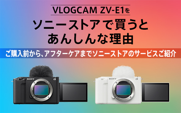 カメラ デジタルカメラ デジタル一眼カメラα（アルファ） | ソニー