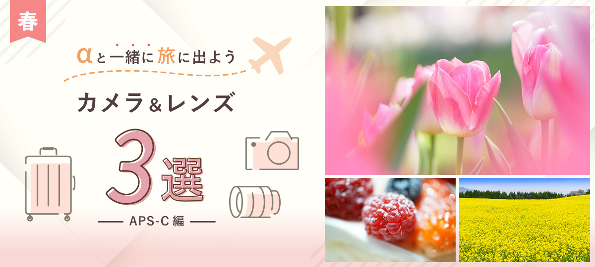 ƈꏏɗɏo悤 JY3I@yʁERpNg