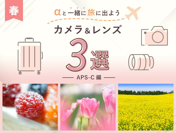 ƈꏏɗɏo悤 JY3I@yʁERpNg