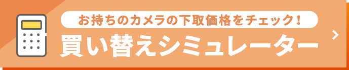 ̃J̉承i`FbNIւV~[^[