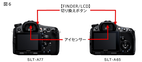 �J�����{�̑��̕\��