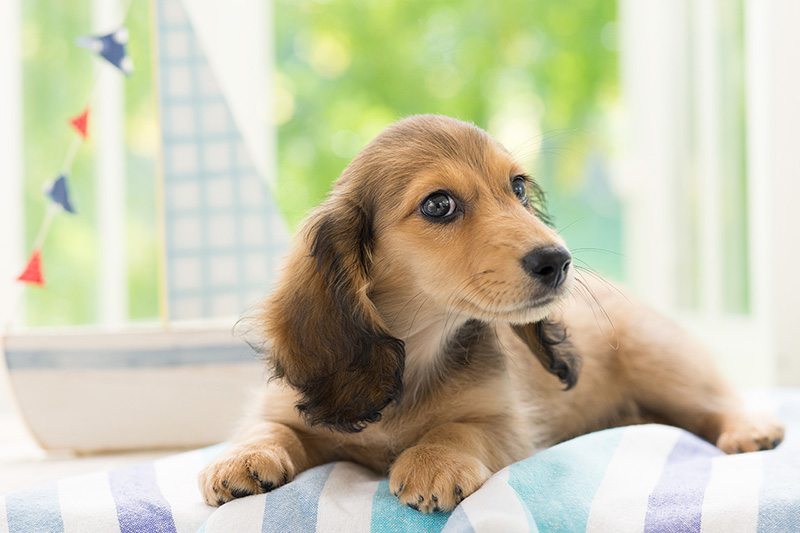 ��7R + LA-EA4 + SAL85F14Z�@1/160�@F4�@ISO500