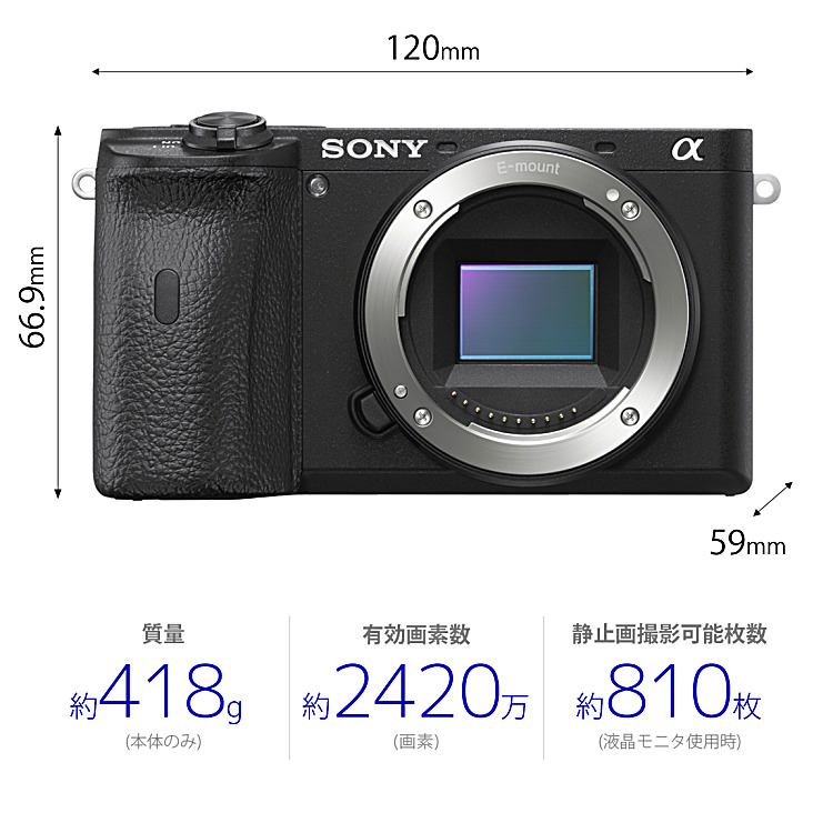ILCE-6600 購入 | デジタル一眼カメラ α：アルファ | ソニー