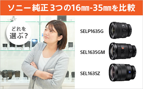 FE PZ 16-35mm F4 G 主な仕様 | デジタル一眼カメラα（アルファ） | ソニー