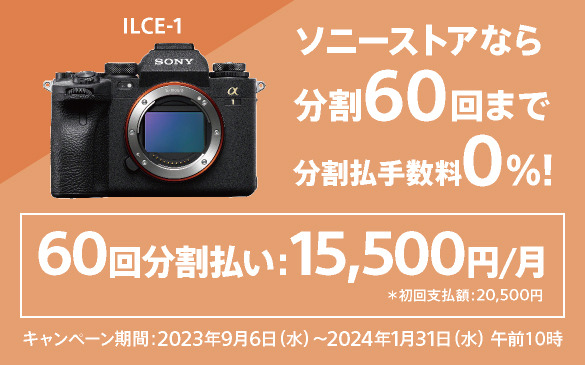 ILCE-1 購入 | デジタル一眼カメラ α：アルファ | ソニー