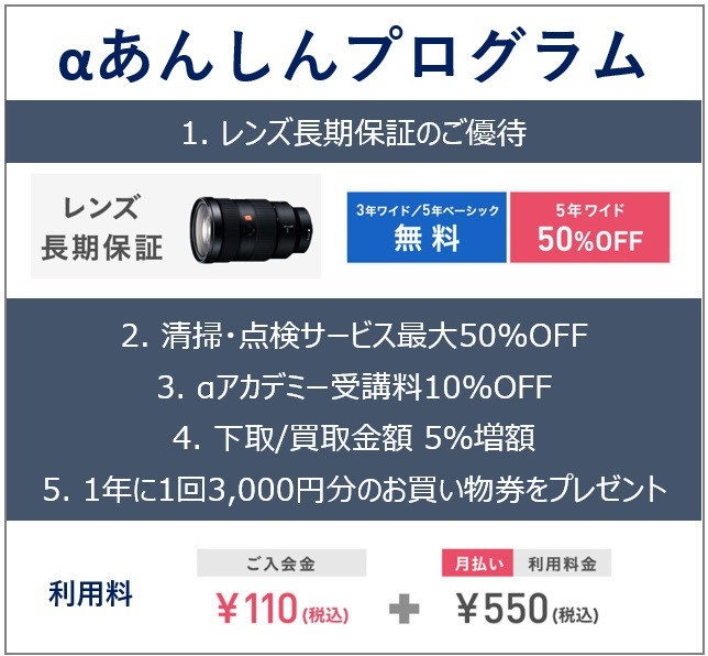 ILCE-7M4 購入 | デジタル一眼カメラ α：アルファ | ソニー