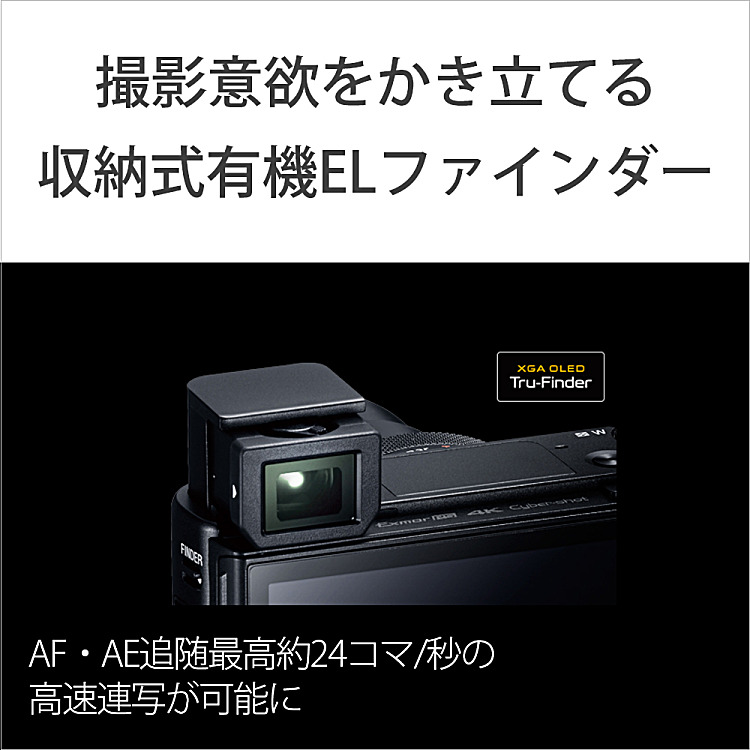 DSC-RX100M5A 購入 | デジタルスチルカメラ サイバーショット | ソニー