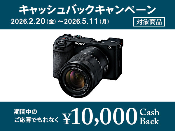 ILCE-6700 購入 | デジタル一眼カメラ α：アルファ | ソニー