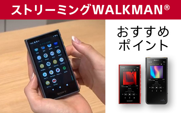 SONY ウォークマン Aシリーズ  NW-A100Series