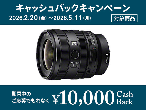 SEL1625G 購入 | デジタル一眼カメラ α：アルファ | ソニー