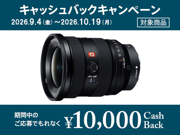 SEL1635GM2 購入 | デジタル一眼カメラ α：アルファ | ソニー