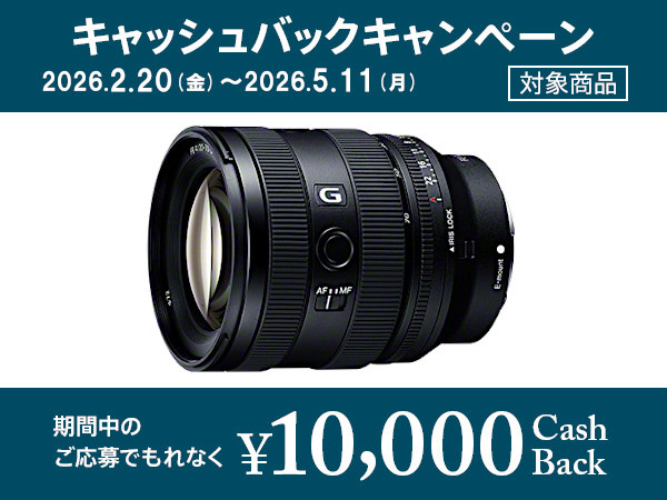 SEL2070G 購入 | デジタル一眼カメラ α：アルファ | ソニー