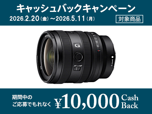 SEL2450G 購入 | デジタル一眼カメラ α：アルファ | ソニー