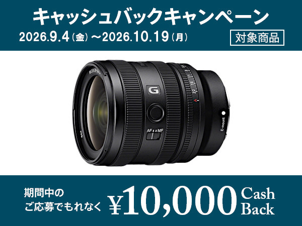 SEL2450G 購入 | デジタル一眼カメラ α：アルファ | ソニー
